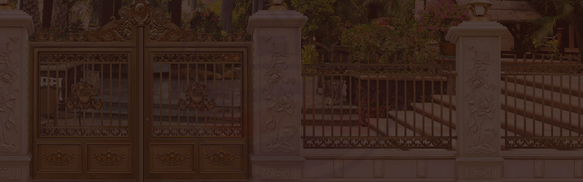 新闻资讯